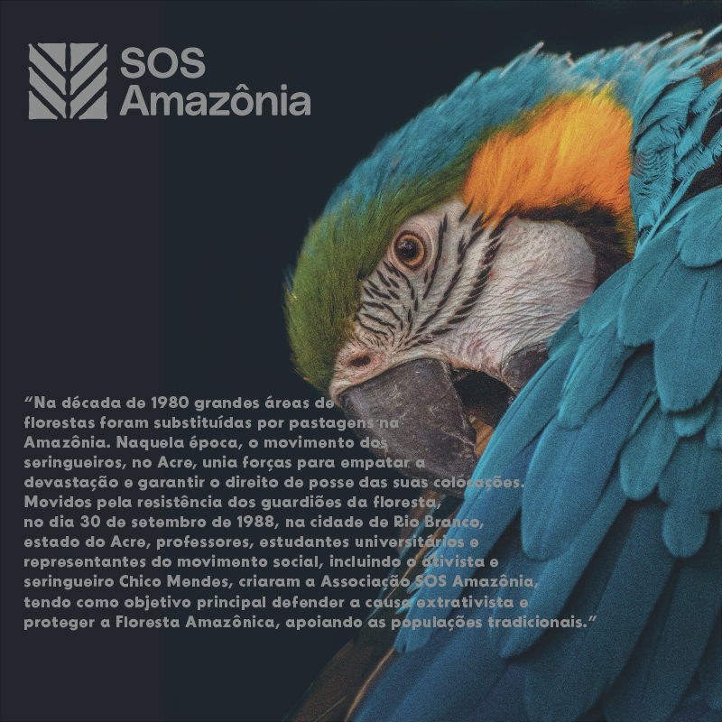SOS Amazônia